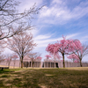 色とりどりの桜：前沢ガーデン・桜花園