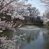 2023.4.2 棚倉城址公園の桜