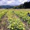 山盛りの小豆