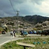 花見山満開♪