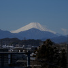 多摩・武蔵野エリア、主に府中市内から富士山が見える場所と写真まとめ