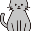 【猫飼いさん注意！】猫が毛糸を飲み込んで大変なことになりました