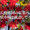 長府庭園で紅葉を見る！！【駐車場と混雑状況を事前にチェック】