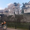 ついに！　来たかぁ～～～コロナ　　　花見と温泉の日々　🌸🏍♨