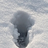 体力消耗の結果、太陽に完敗　雪かき後に残ったものは痛みとあっけなさ