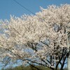 ３月２２日（火）　晴れ！