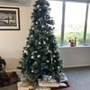 NZのクリスマス