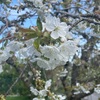 兄弟の味覚が違う