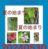 6/8作詩＆ESSEtitle雨＆晴天オダヒロコ織田弘子
