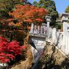 大山の紅葉  丹沢 大山阿夫利神社と富士山
