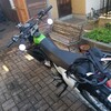 新しい相棒となるのか❗バイク探しに行ってきた、、、。