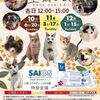 本日休業