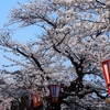 桜咲く、街をあるけば「のれん・看板編」