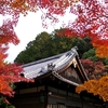 金福寺ー京都紅葉(洛北）