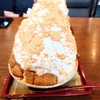 1人連休中です