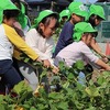 満3歳組さんと年少組さんのお芋ほり