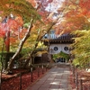 2016　11/25の拝観報告1（粟生光明寺）