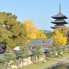 東寺の紅葉2020、見ごろや現在の状況。ライトアップあり。
