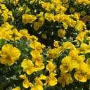 sprinkle’s blog