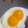 二黄卵