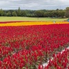 国営武蔵丘陵森林公園