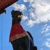 お力添えを頂戴した結果