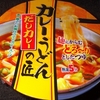 ［23/01/21］NiD だしカレーの匠 カレーうどん １０６円(DS モリ)