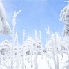 冬の八経ヶ岳独り占め〜白い世界を雪山登山〜（2018年1月）