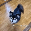 今日の皆様