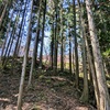 福寿草園に向かう道