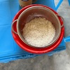 念願のお米とラーメン