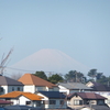 2019・3・6・水曜日(啓蟄の日)いくつになっても親には頭があがらない～♪