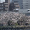 東京散歩④演芸ホール『浅草東洋館』とホッピー通り🍺
