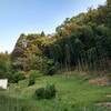 ビビリでもいいと思う。