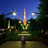 東京タワーの夜景を撮るなら「芝公園4号地」をオススメしたい