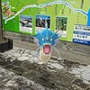 １０月３日、　ギャラドス散歩　やん～‼️