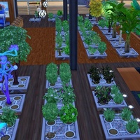 植物をオールシーズンにするMOD