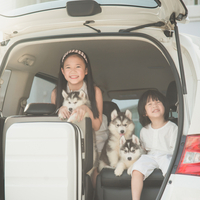 妊婦さんの車の運転いつまでok クルマのわからないことぜんぶ 車初心者のための基礎知識 Norico ノリコ