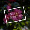 2019年を写真で振り返る（前編）