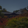 月明かりに浮かぶ秋色東福寺@2021