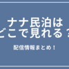 ナナ民泊with SEVENTEENはどこで見れる？配信情報まとめ！