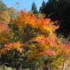 納得！の北海道旅行後記