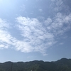 よしべ〜の業務報告50629(太陽、金星、月）