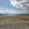 独学でイラレを初めて３週間経った。私の勉強方法。