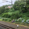 箱根食事旅行・その２