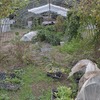 やっとハウスの畑片づけ
