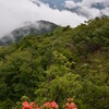 tochikoな山登り　里山の黒