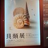 貝類展に行ってきました