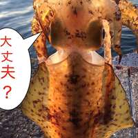 今釣りに行くならコロナ対策 釣り場の鉄則 3つの密 を正しく尊守 Taketiyo釣りブログ 今釣りに行くならコロナ対策 釣り場の鉄則 3つの密 を正しく尊守 Taketiyo釣りブログ