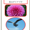 １０月にもかかわらずなんと室内で３４度となりました